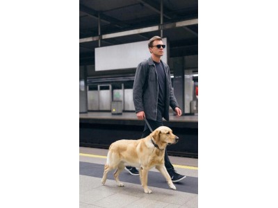 В московский метрополитен можно будет спускаться с собаками-поводырями